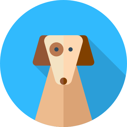 Dog pet domestic animals icon