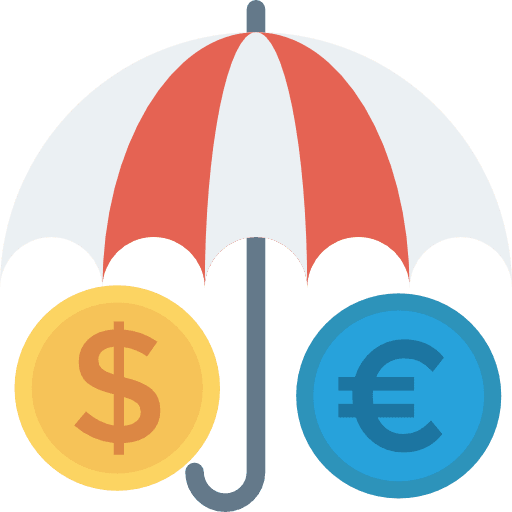 Payment coin money euro icon