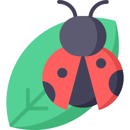 Bug animals ladybird insect icon