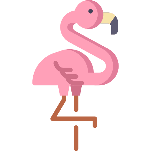 Flamingo flamingos wildlife animal kingdom icon