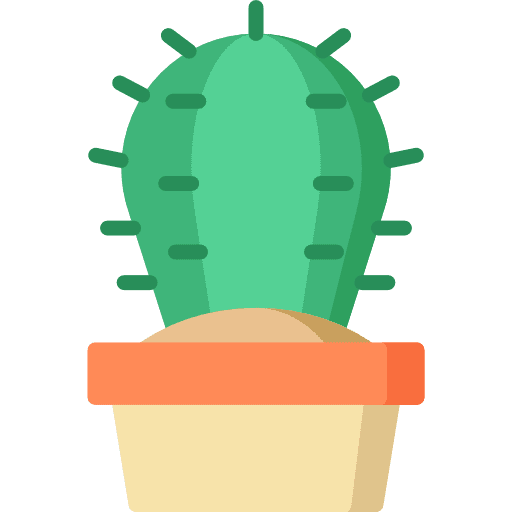 Cactus dessert nature cactus icon