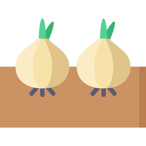 Onion cooking food and restaurant diet icon