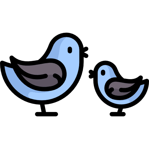 Birds cardinal animals bird icon