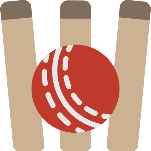 Cricket bat ball sports icon