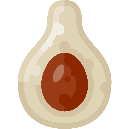 Avocado vegan avocado vegetarian icon