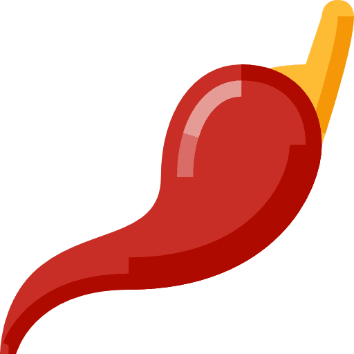 Pepper pepper chili vegetarian icon