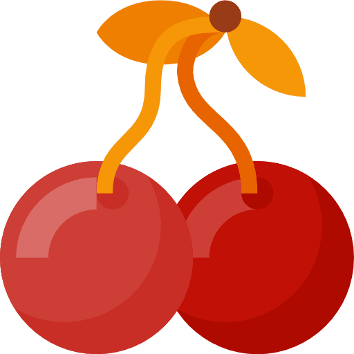 Cherry healthy food diet cherries icon