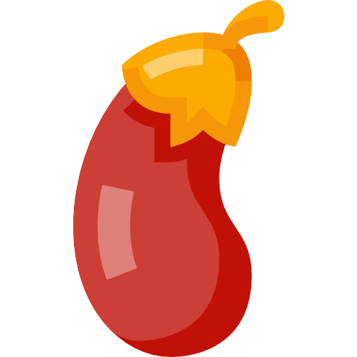 Eggplant food vegetables vegan icon