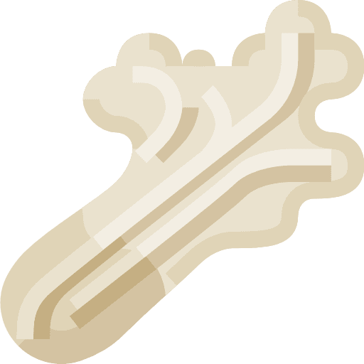 Lettuce diet greens fresh icon