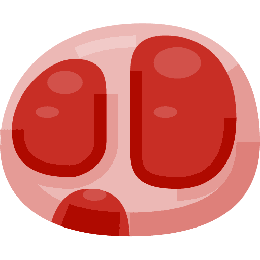 Meat steak grilled meat icon