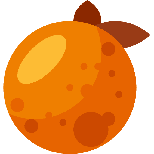 Orange healthy food orange diet icon