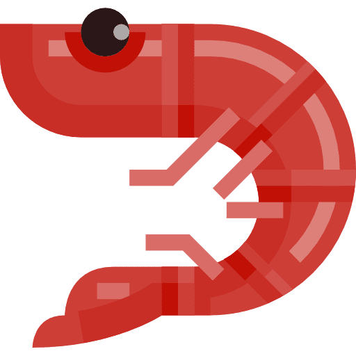 Shrimp animal shrimp sea life icon