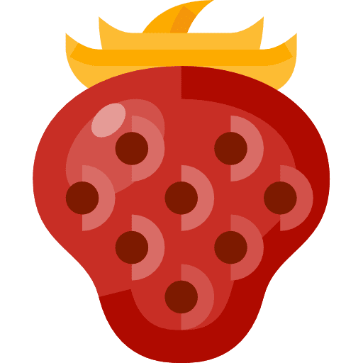 Strawberry organic food diet icon