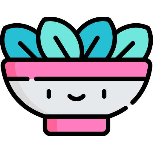 Salad organic food vegan icon