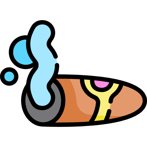 Cigar unhealthy smoking cigar icon