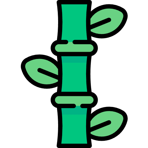 Bamboo plant nature botanical icon