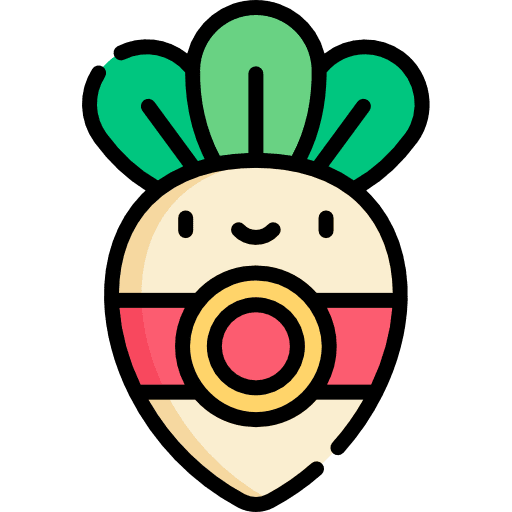 Radish food vegetable organic icon
