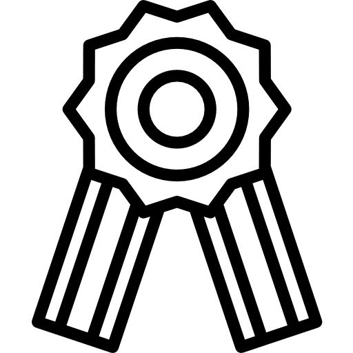 Badge sports and competition insignia checked icon