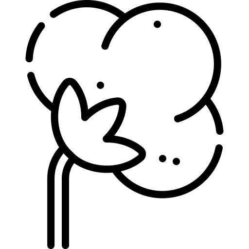 Cotton cotton plant agriculture icon