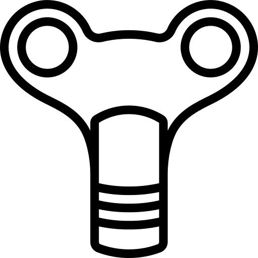 Key access key pass icon