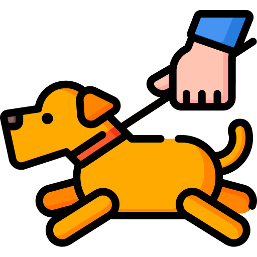 Animals walking walking the dog pet icon
