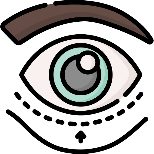 Anatomy eye anatomy healthcare and medical icon