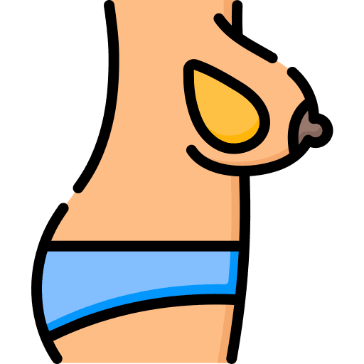 Anatomy body parts anatomy bust icon