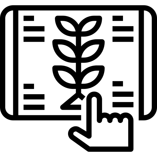 Growth strategy growth plant icon