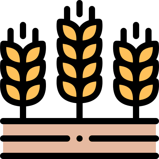 Barley leaves barley farming and gardening icon