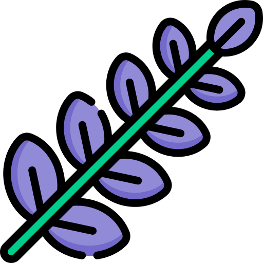 Lavender aroma lavender botanical icon