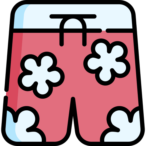 Shorts clothes pants clothing icon