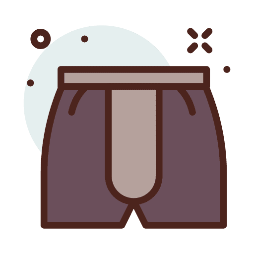 Boxers underwear underpants fashion icon