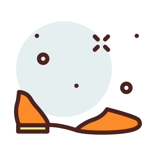 Flats footwear femenine shoes icon