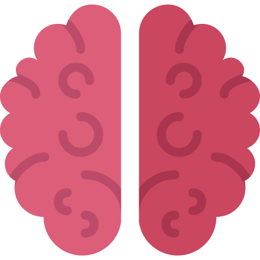 Brain brain education body part icon