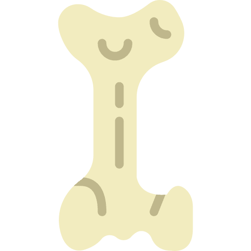 Femur bones medical healthcare and medical icon