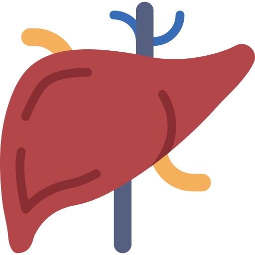 Liver medical organ health icon