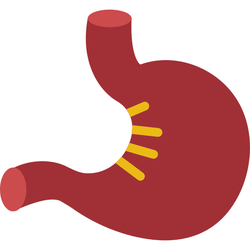 Stomach medical organ organs icon