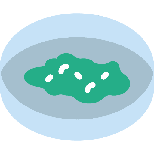 Petri dish healthcare and medical analysis sample icon