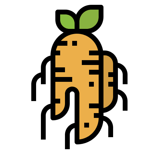Ginseng food and restaurant gastronomy nutrition icon