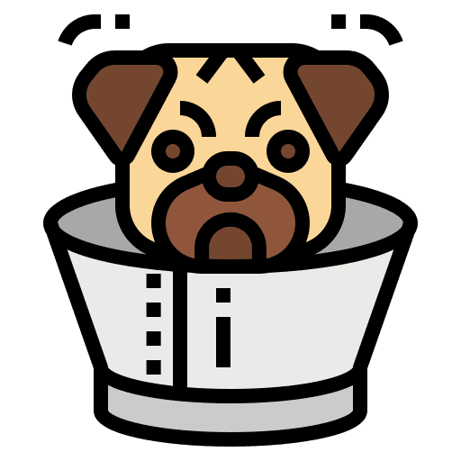 Dog collar pet dog icon