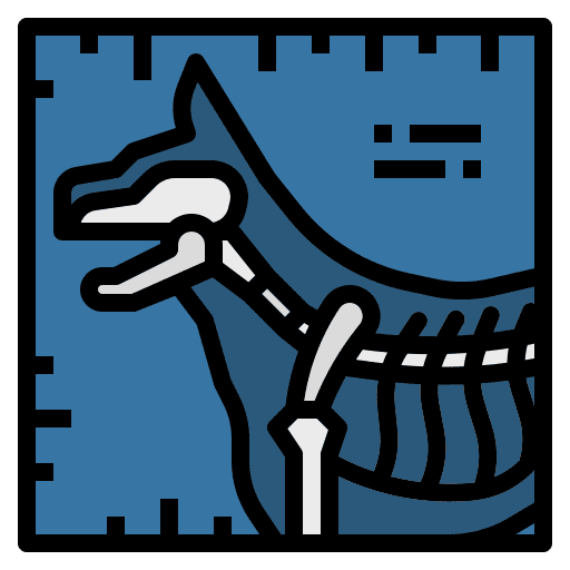 Healthcare veterinary x rays healthcare and medical icon