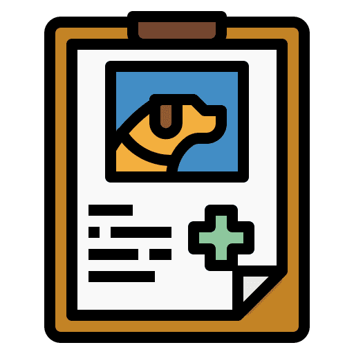 Report healthcare and medical healthcare report icon