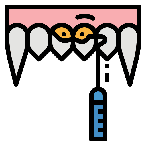 Teeth healthcare and medical clean teeth icon