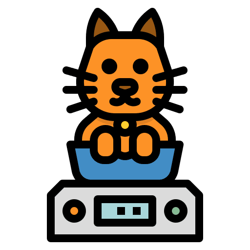 Weight cat healthcare and medical healthcare icon
