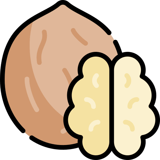 Nut food and restaurant nut organic icon