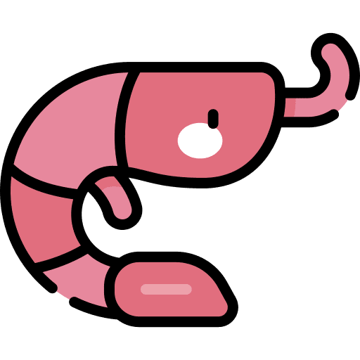 Shrimp sea life shellfish seafood icon