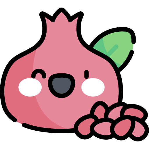 Pomegranate diet fruit vegan icon
