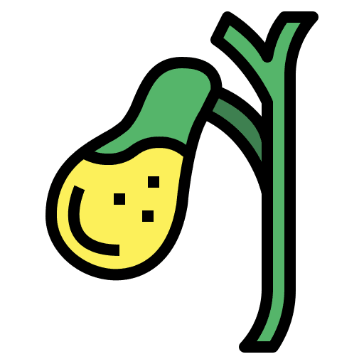 Gallbladder organ body healthcare and medical icon