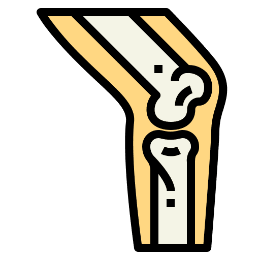 Knee x ray joint anatomy icon