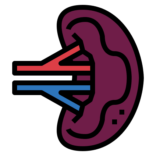 Spleen anatomy healthcare people icon